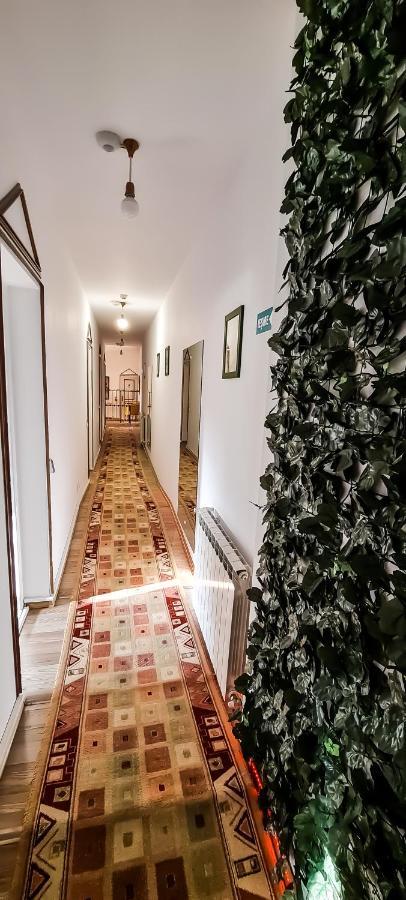 5 Stars High Hostel Bucharest Exterior photo